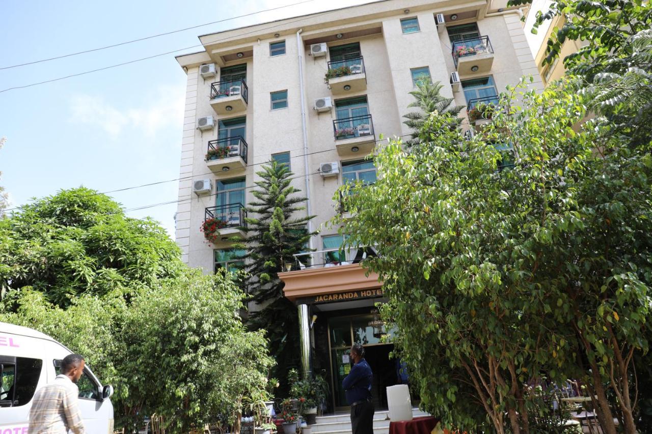 Jacaranda Hotel, בהר דר מראה חיצוני תמונה